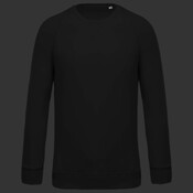 Men's organic cotton crew neck raglan sleeve sweatshirt